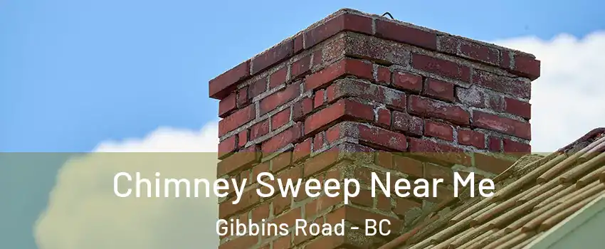  Chimney Sweep Near Me Gibbins Road - BC