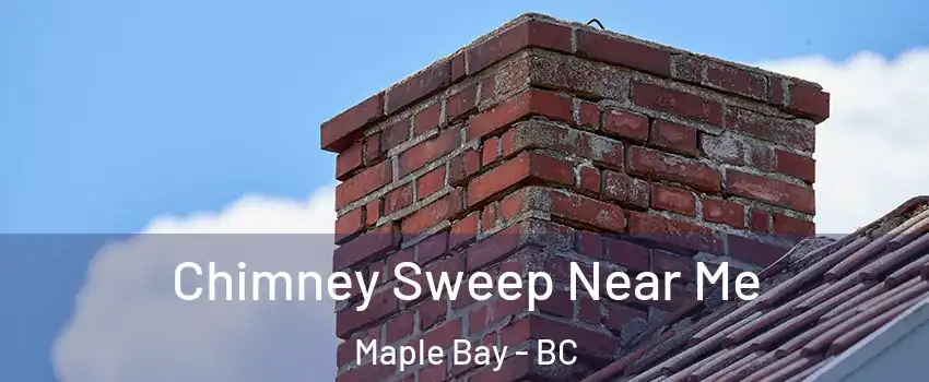  Chimney Sweep Near Me Maple Bay - BC