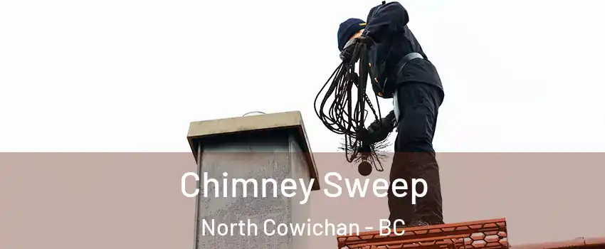  Chimney Sweep North Cowichan - BC