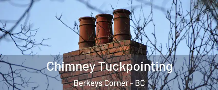  Chimney Tuckpointing Berkeys Corner - BC