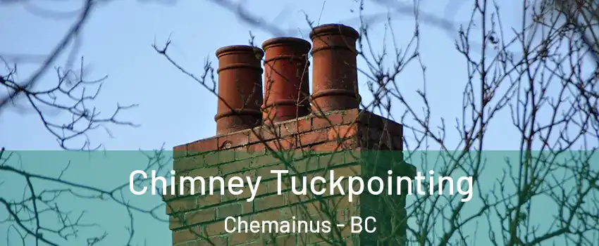  Chimney Tuckpointing Chemainus - BC