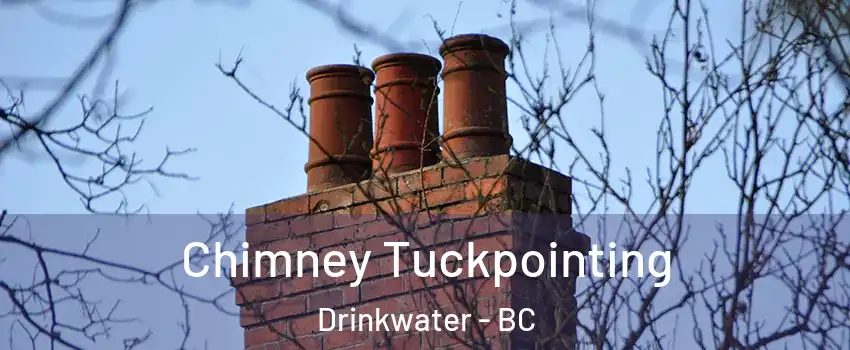  Chimney Tuckpointing Drinkwater - BC