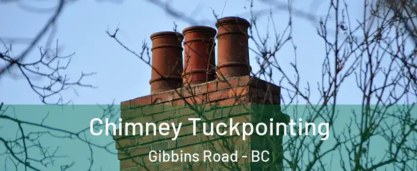  Chimney Tuckpointing Gibbins Road - BC