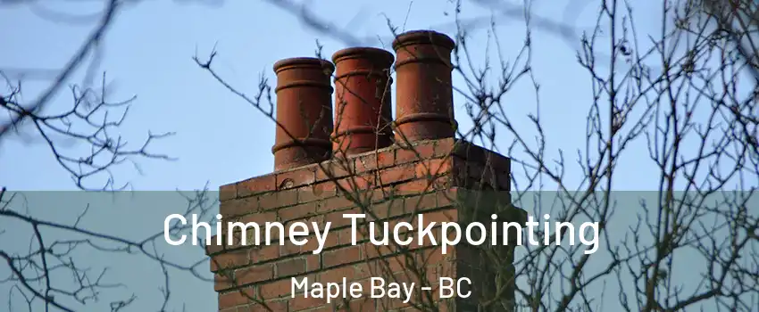  Chimney Tuckpointing Maple Bay - BC