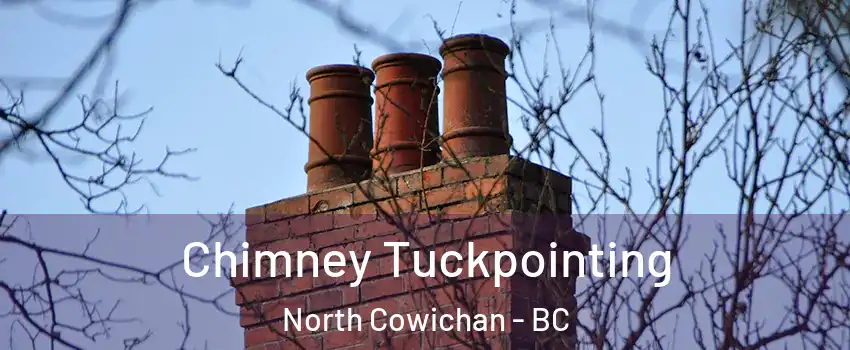  Chimney Tuckpointing North Cowichan - BC
