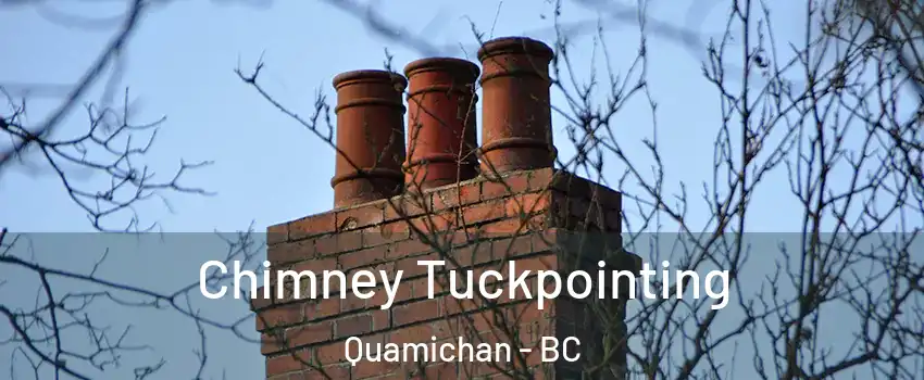  Chimney Tuckpointing Quamichan - BC