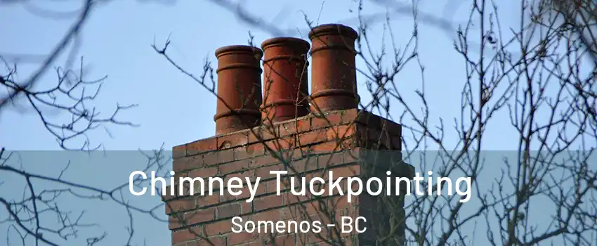  Chimney Tuckpointing Somenos - BC