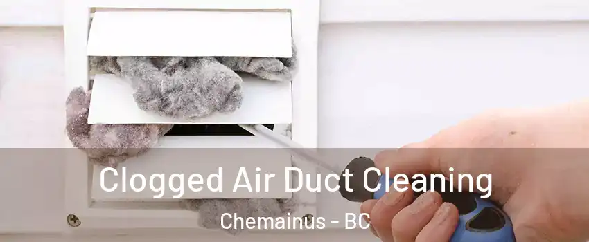 Clogged Air Duct Cleaning Chemainus - BC