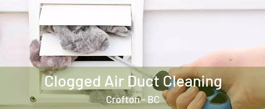  Clogged Air Duct Cleaning Crofton - BC