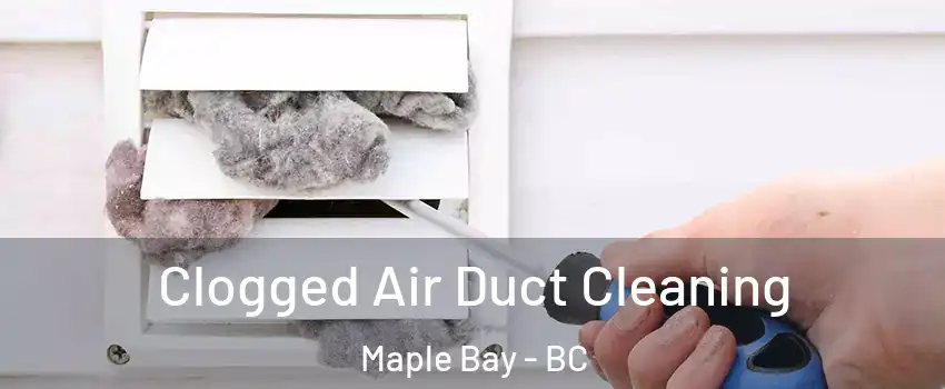  Clogged Air Duct Cleaning Maple Bay - BC