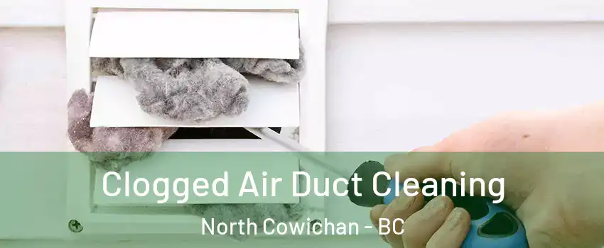  Clogged Air Duct Cleaning North Cowichan - BC