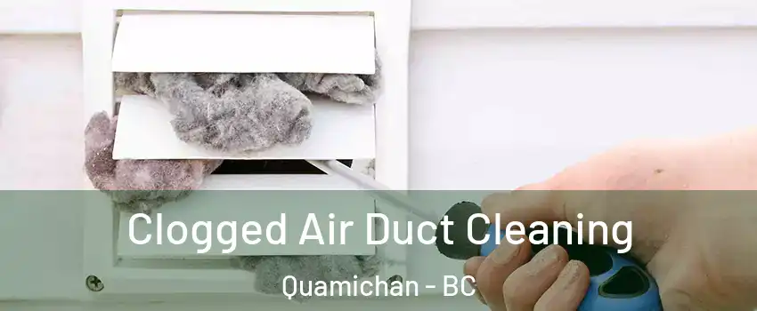  Clogged Air Duct Cleaning Quamichan - BC