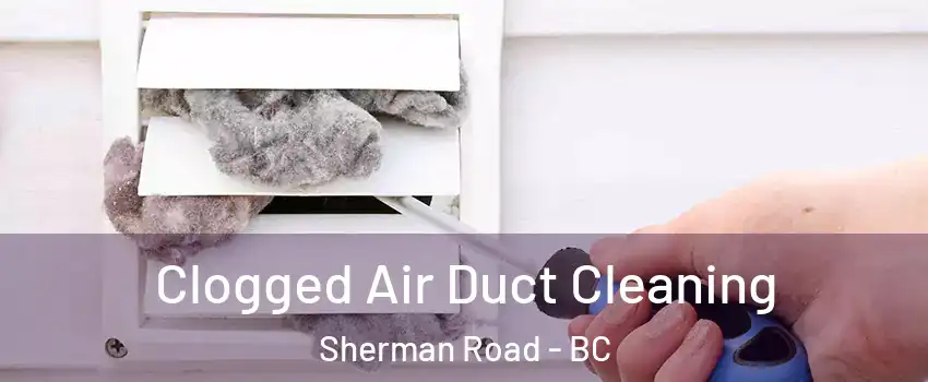  Clogged Air Duct Cleaning Sherman Road - BC