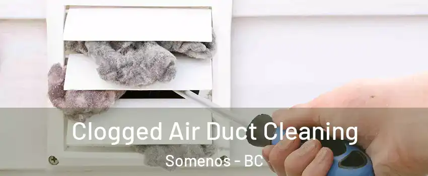  Clogged Air Duct Cleaning Somenos - BC