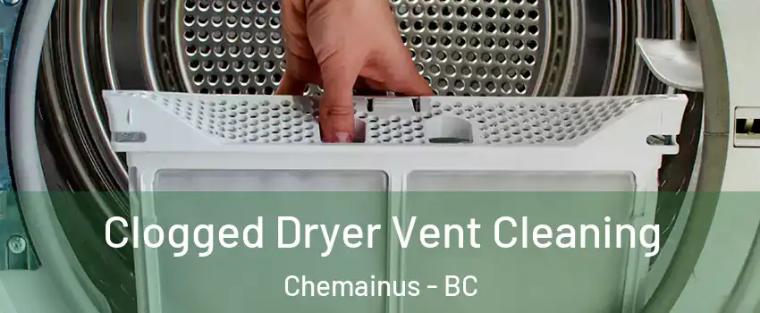  Clogged Dryer Vent Cleaning Chemainus - BC