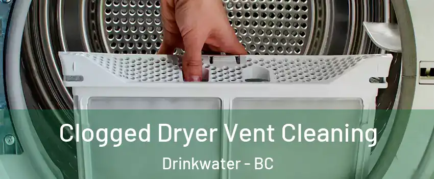  Clogged Dryer Vent Cleaning Drinkwater - BC