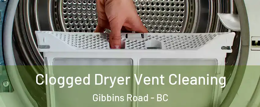  Clogged Dryer Vent Cleaning Gibbins Road - BC