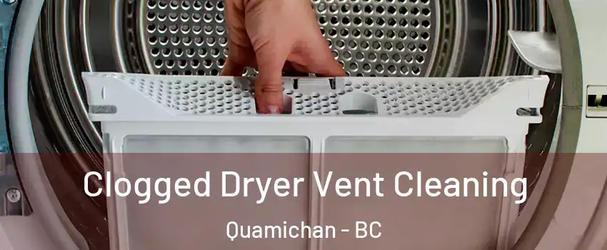  Clogged Dryer Vent Cleaning Quamichan - BC