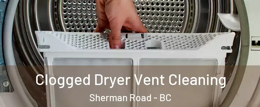  Clogged Dryer Vent Cleaning Sherman Road - BC