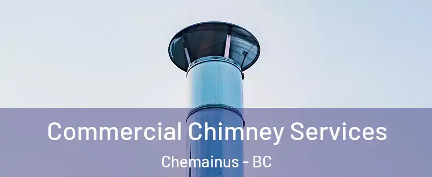  Commercial Chimney Services Chemainus - BC