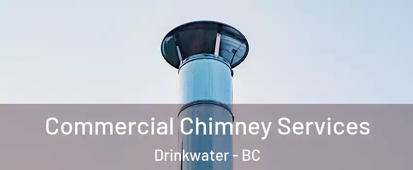  Commercial Chimney Services Drinkwater - BC