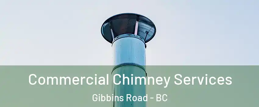  Commercial Chimney Services Gibbins Road - BC