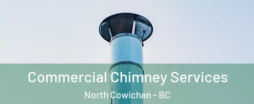  Commercial Chimney Services North Cowichan - BC