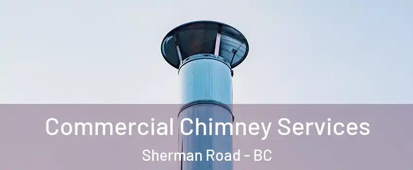  Commercial Chimney Services Sherman Road - BC