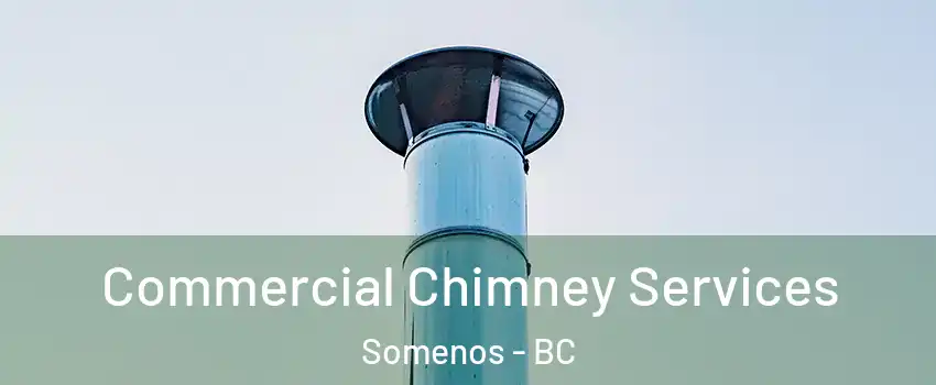  Commercial Chimney Services Somenos - BC