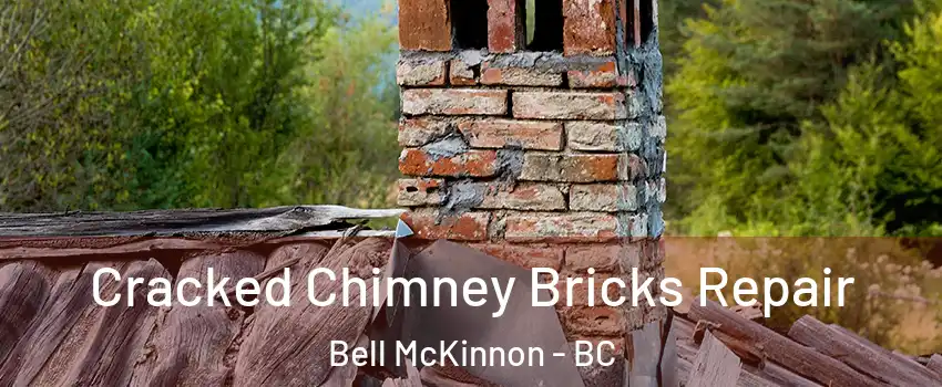  Cracked Chimney Bricks Repair Bell McKinnon - BC