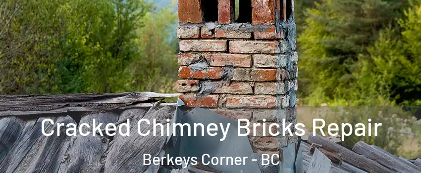  Cracked Chimney Bricks Repair Berkeys Corner - BC