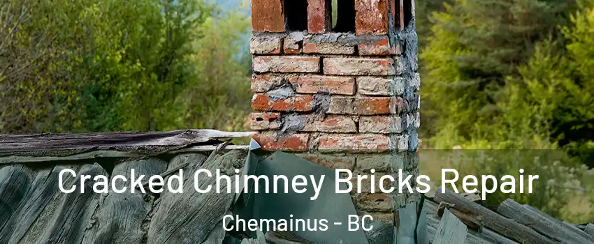  Cracked Chimney Bricks Repair Chemainus - BC