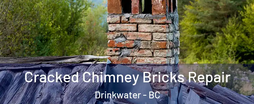  Cracked Chimney Bricks Repair Drinkwater - BC