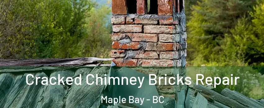  Cracked Chimney Bricks Repair Maple Bay - BC