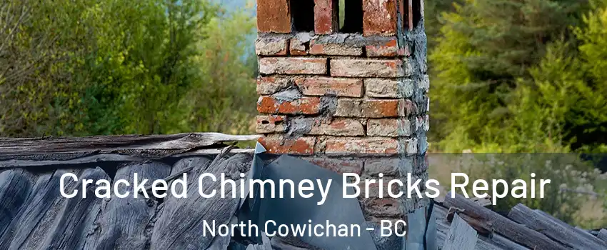  Cracked Chimney Bricks Repair North Cowichan - BC