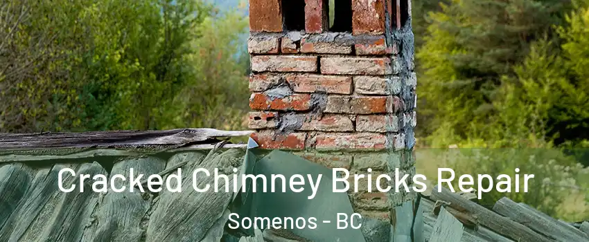  Cracked Chimney Bricks Repair Somenos - BC