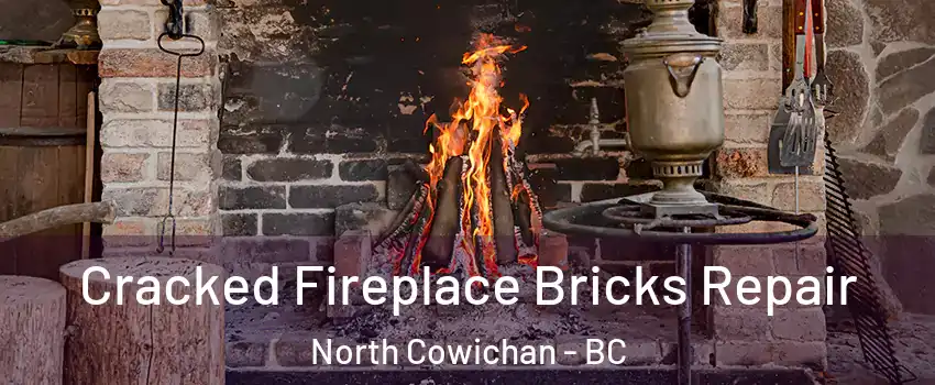  Cracked Fireplace Bricks Repair North Cowichan - BC