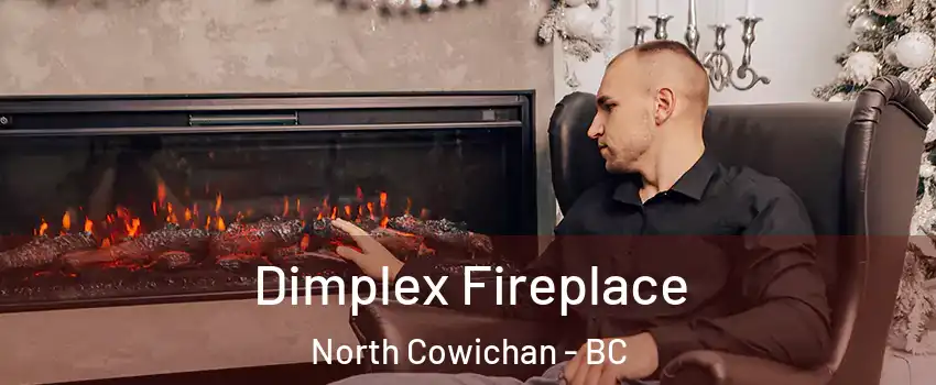  Dimplex Fireplace North Cowichan - BC