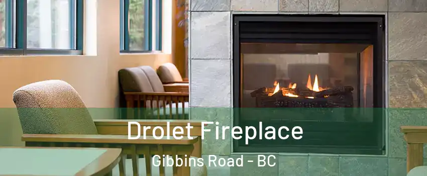  Drolet Fireplace Gibbins Road - BC