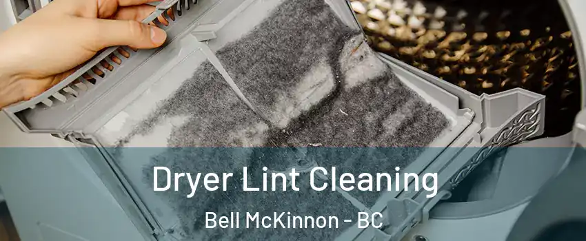  Dryer Lint Cleaning Bell McKinnon - BC
