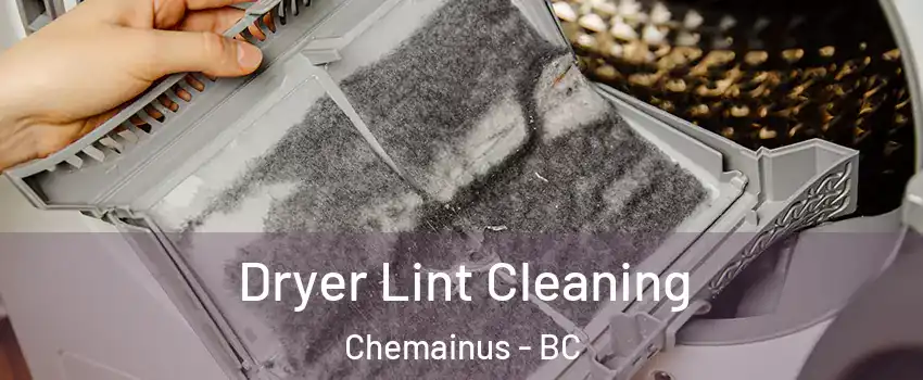  Dryer Lint Cleaning Chemainus - BC