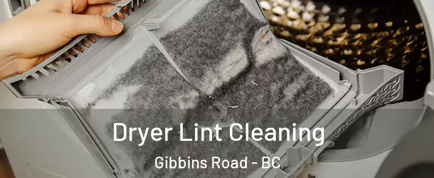  Dryer Lint Cleaning Gibbins Road - BC