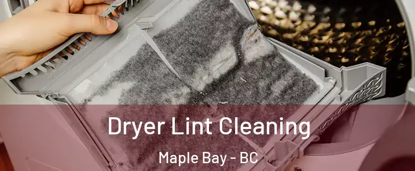  Dryer Lint Cleaning Maple Bay - BC