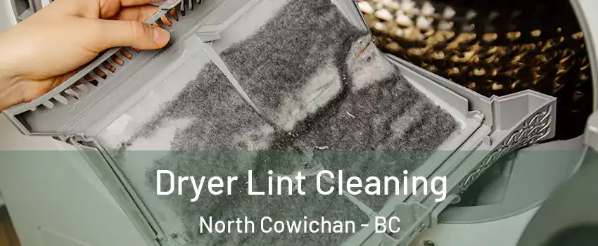 Dryer Lint Cleaning North Cowichan - BC