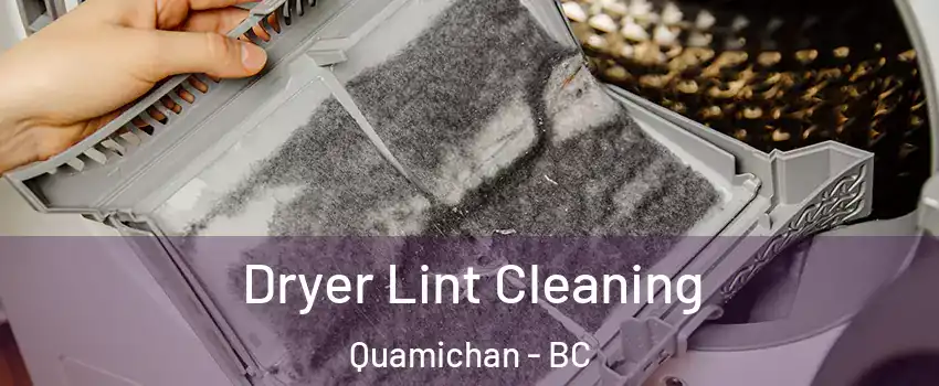  Dryer Lint Cleaning Quamichan - BC