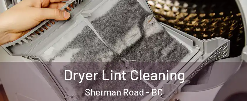  Dryer Lint Cleaning Sherman Road - BC