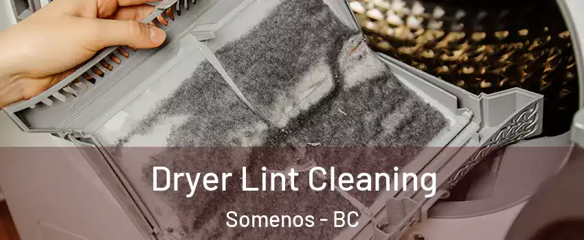  Dryer Lint Cleaning Somenos - BC