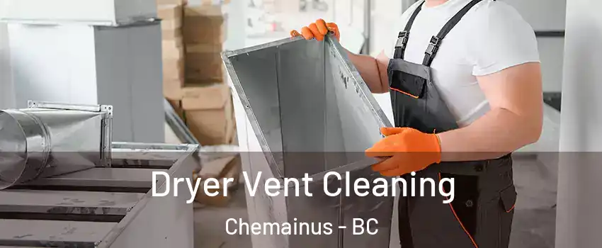 Dryer Vent Cleaning Chemainus - BC