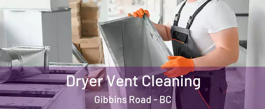  Dryer Vent Cleaning Gibbins Road - BC