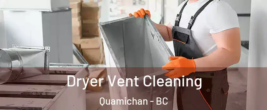  Dryer Vent Cleaning Quamichan - BC